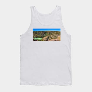 Chiricahua National Monument Tank Top